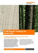FLIM-Raman imaging on wood cells